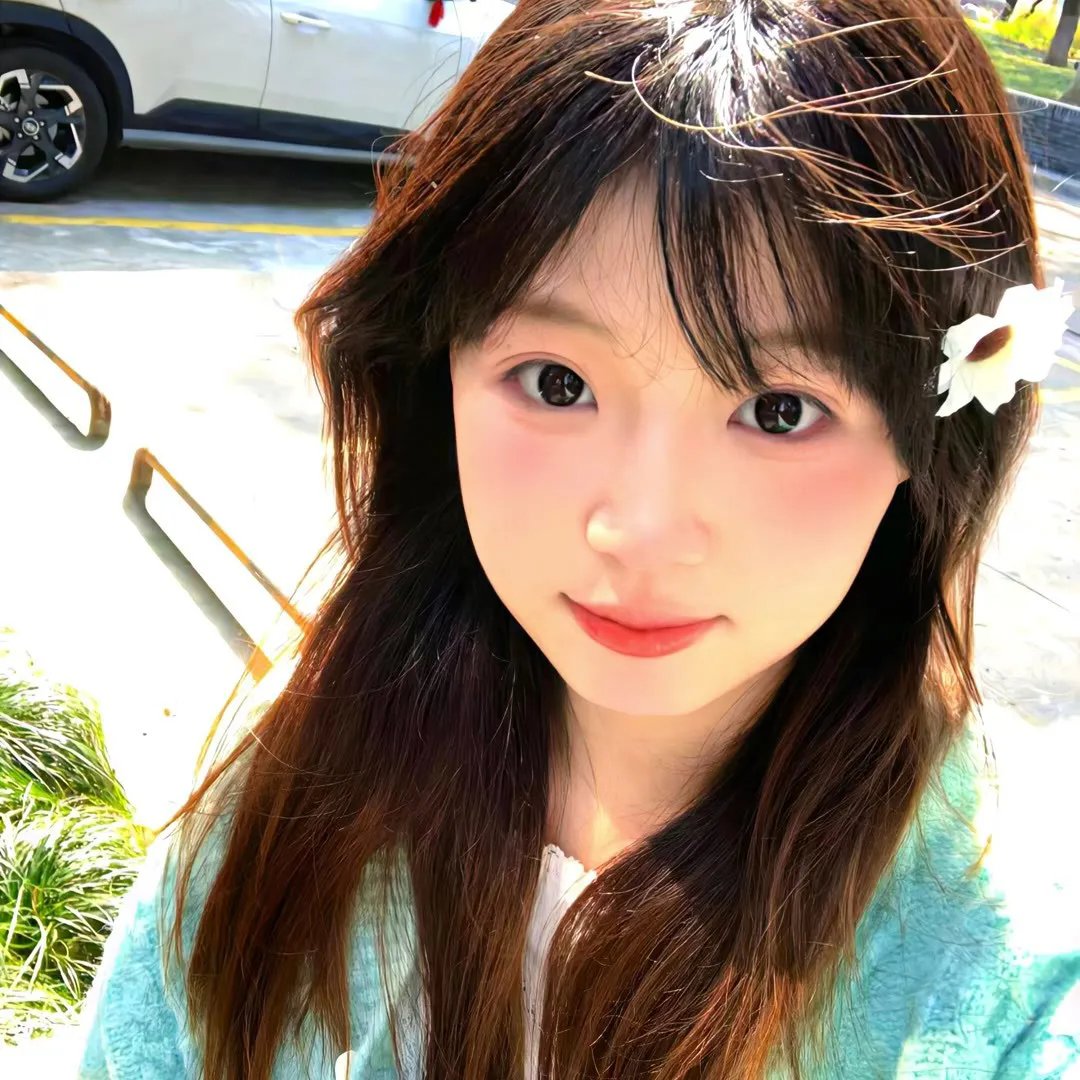 大象家族