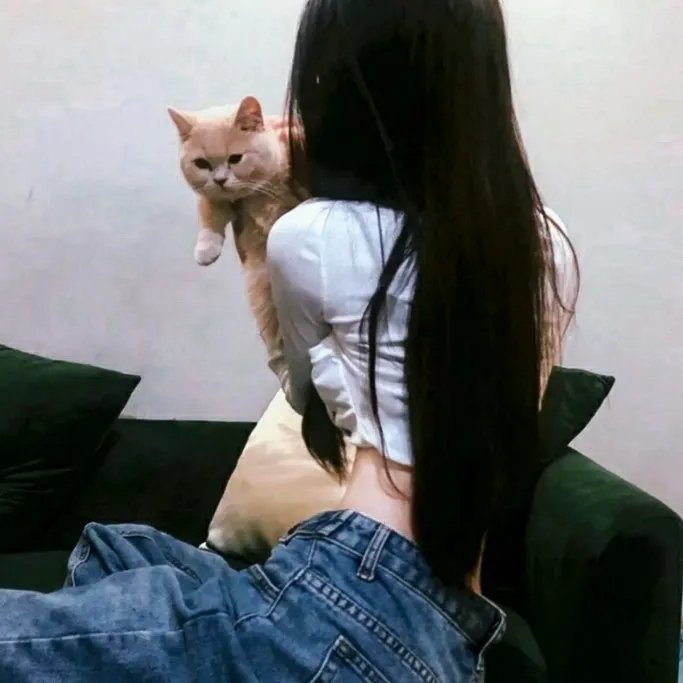 黑骑士